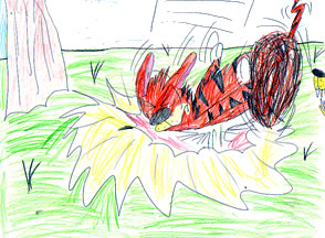 Stripes the Tiger