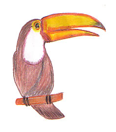 The Tricky Toucan