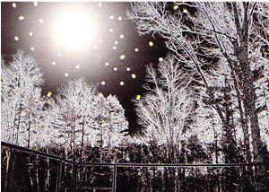 Disappearing Stars