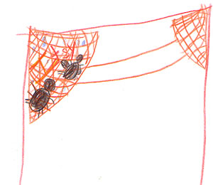 Itsy the Spider
