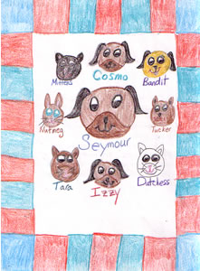 Super Seymour the Pug and His Sidekick Cosmo The Brave