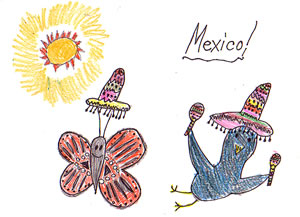 The Butterfly and the Bird