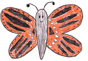 The Butterfly and the Bird