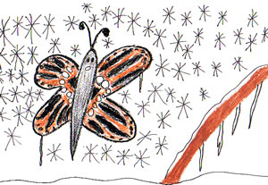 The Butterfly and the Bird