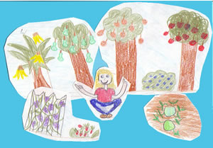 The Kingdom of Fruits