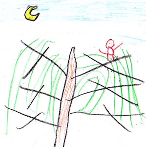The Magic Tree