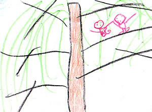The Magic Tree