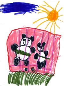 The Panda's Adventure