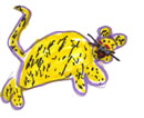leopard