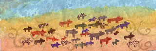 Backyard Safari