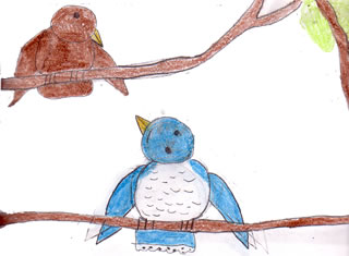 The Blue Jay with No Friends