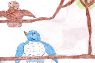 The Blue Jay with No Friends