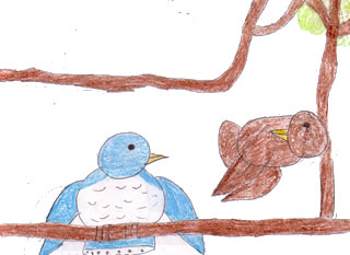 The Blue Jay with No Friends