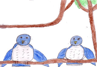 The Blue Jay with No Friends