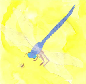 Like a Dragonfly
