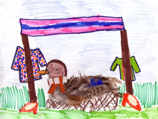 Mary Mallard's Unusual Nest