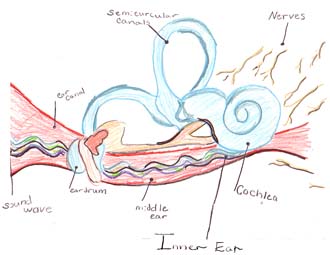 The Journey of Sound