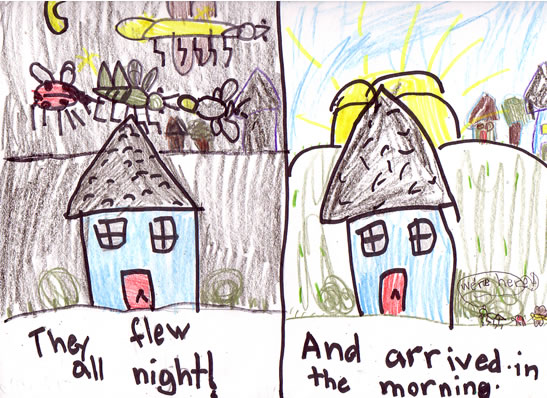 The Bug Study