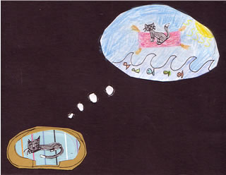 The Magic Carpet Adventure