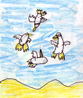 The Unloveable Seagull