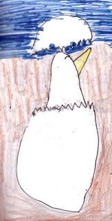 The Unloveable Seagull