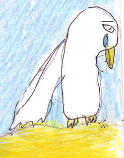 The Unloveable Seagull