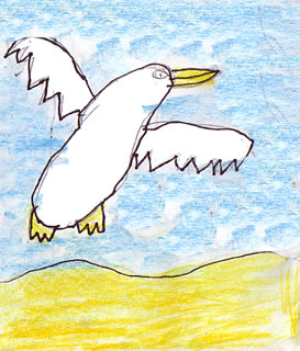 The Unloveable Seagull