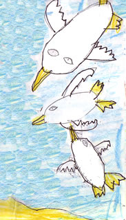 The Unloveable Seagull