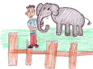 Visit to the Zoo