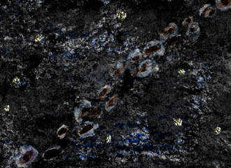 How the Asteroid Belt Was Made