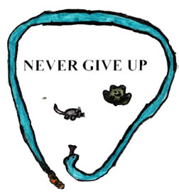 Never Give Up