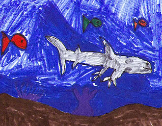 How Sharks Got Their Fins