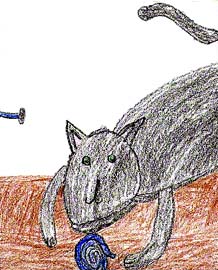 The Adventures of Split and Sunday and the Very Mean Dog