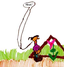I Go For Walks in Woods