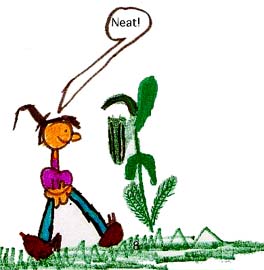 I Go For Walks in Woods