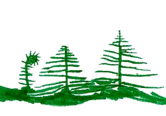 I Go For Walks in Woods
