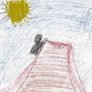 Percy Penguin Got Lost