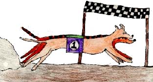 Go Greyhound