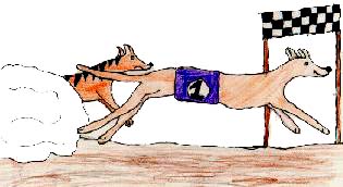 Go Greyhound