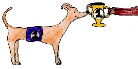 Go Greyhound