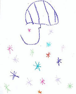 The Snowflake Fairy 