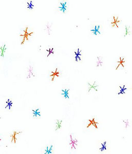 The Snowflake Fairy 