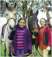 saddle club