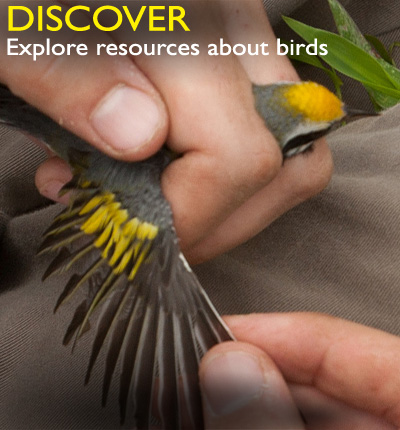 Resources