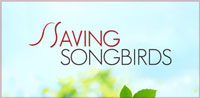 SAVING SONGBIRDS