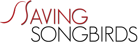 Savings Songbirds
