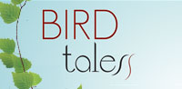 Bird Tales