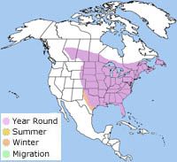 jay blue range map canada cuckoo billed cristata cyanocitta states united wild bluejay coccyzus nhptv