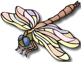 dragonfly
