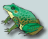 frog